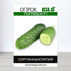 Семена огурца Погребок F1, 100г